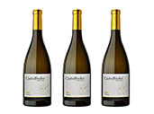 2015 Sauvignon Blanc · Raif · Castelfeder